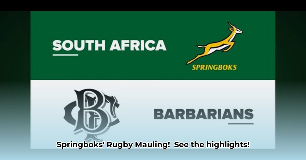 south-africa-vs-barbarians